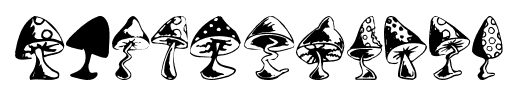 Shrooms